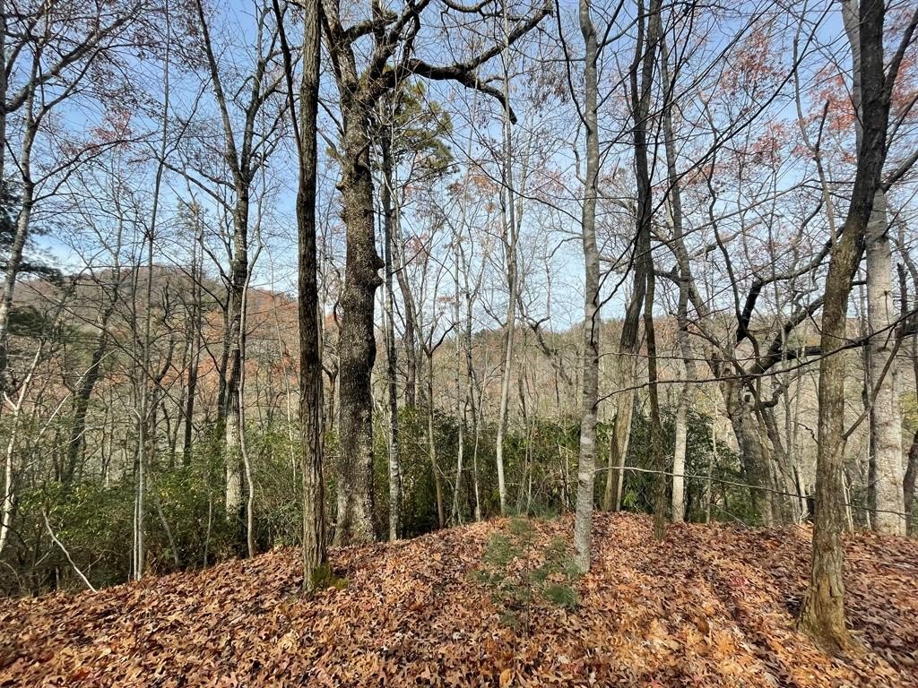 Other - Mountain Laurel Rd, Robbinsville (Graham), NC