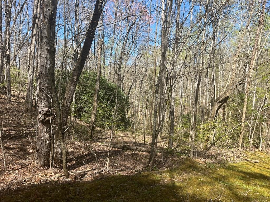 Other - 359 Loon Lane, Whittier, NC