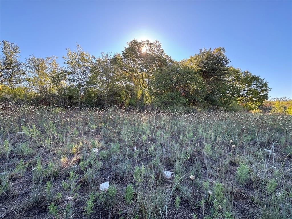 Plots and Land - Tbd Mason Court, Dublin, TX