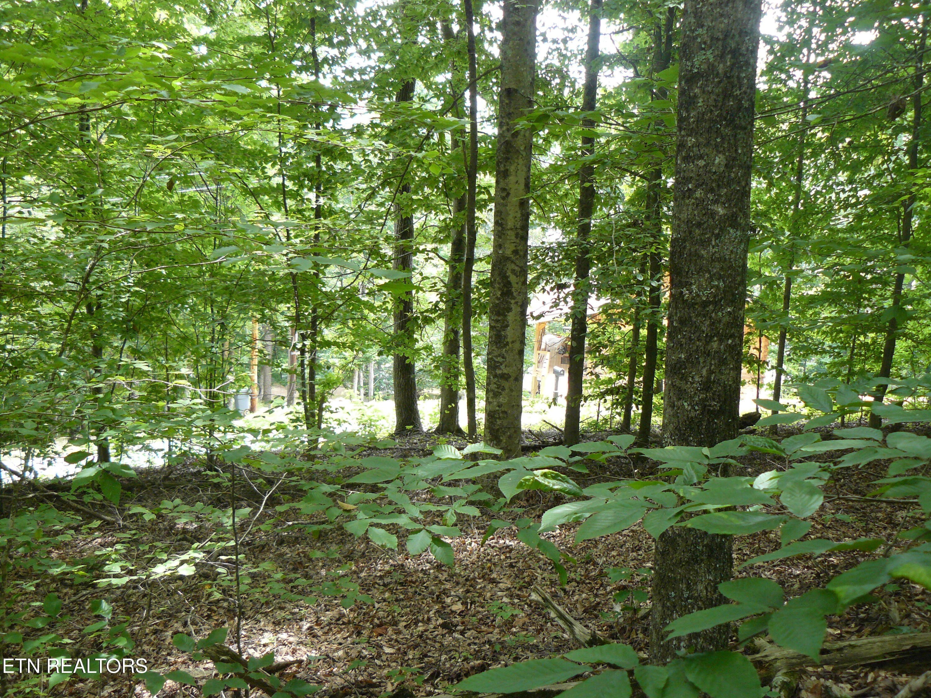 Other - Tanglewood Rd, Sharps Chapel, TN