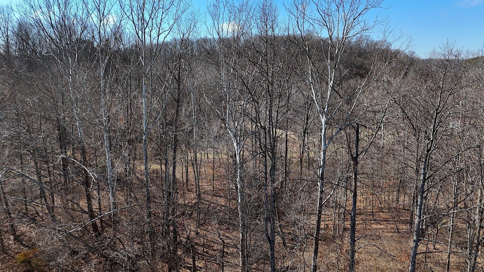 Other 1BA - 37000 Vance Road, Pomeroy, OH
