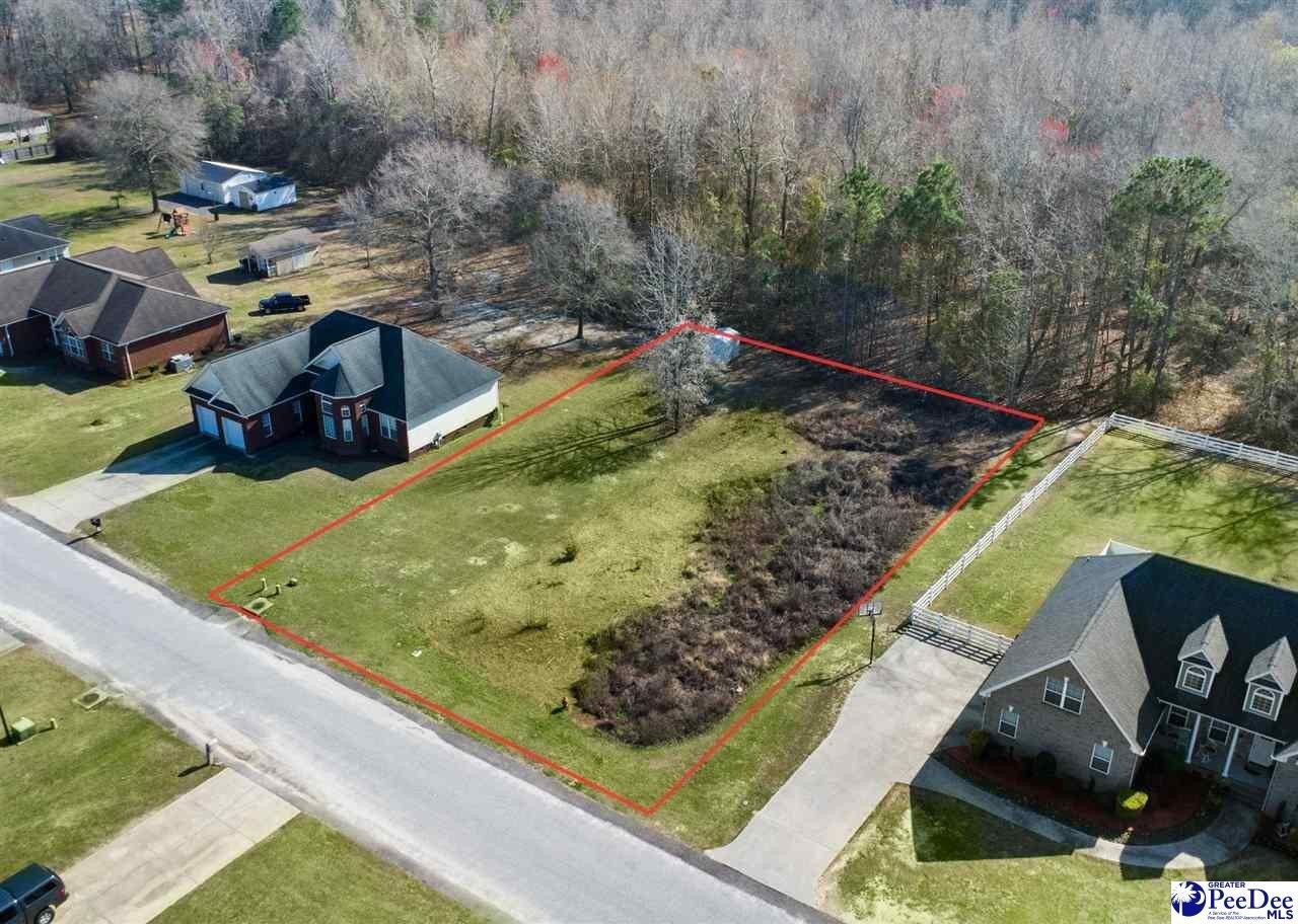 Other - TBD Lot 26 Crickintree Lane, Darlington, SC