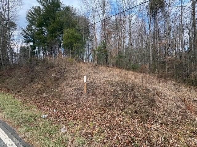 Single Family - Austin Traphill Road lot: 22, Traphill, NC