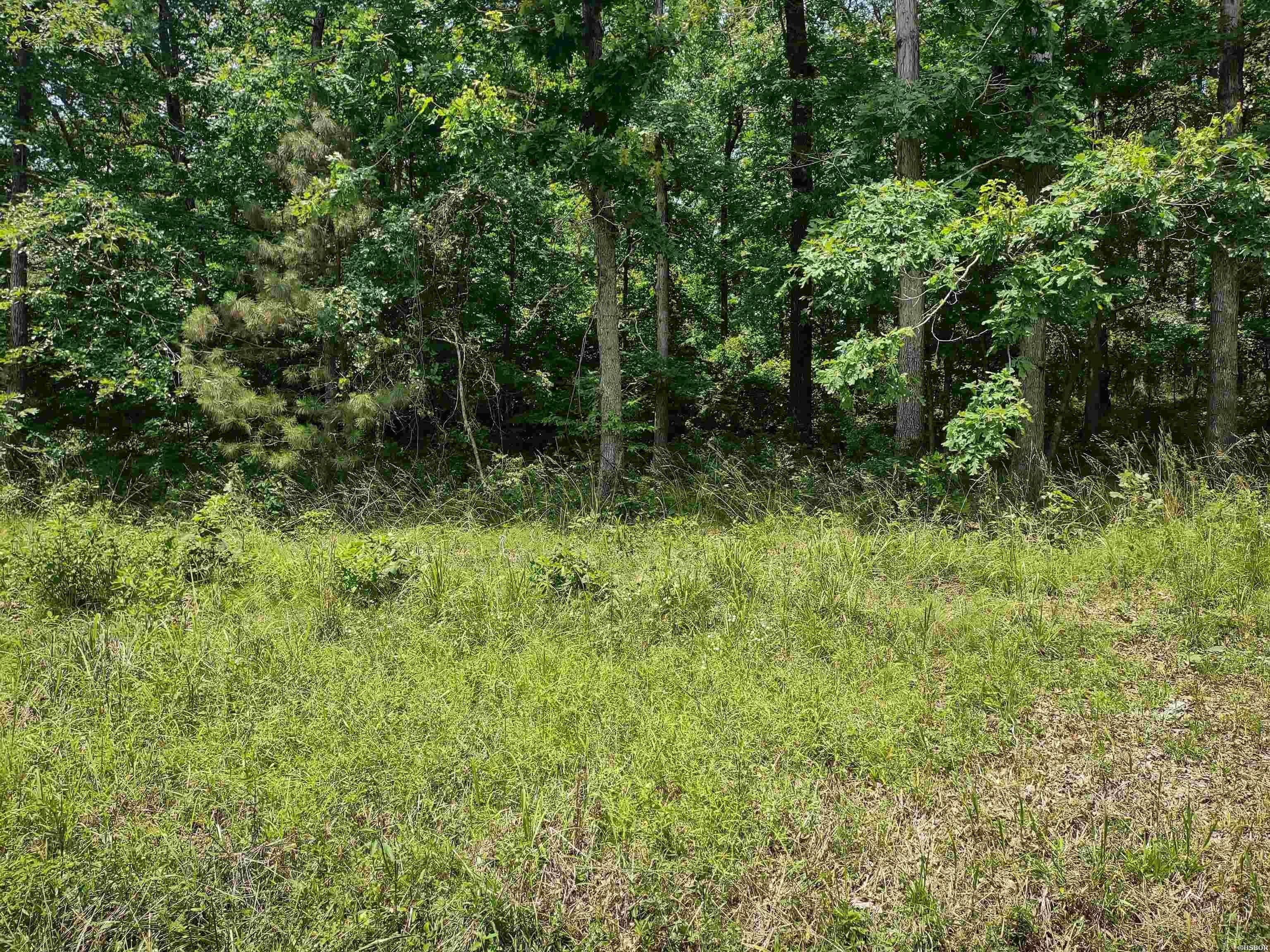 Single Family - Lot 1008 INDEPENDENCE Drive, Hot Springs, AR