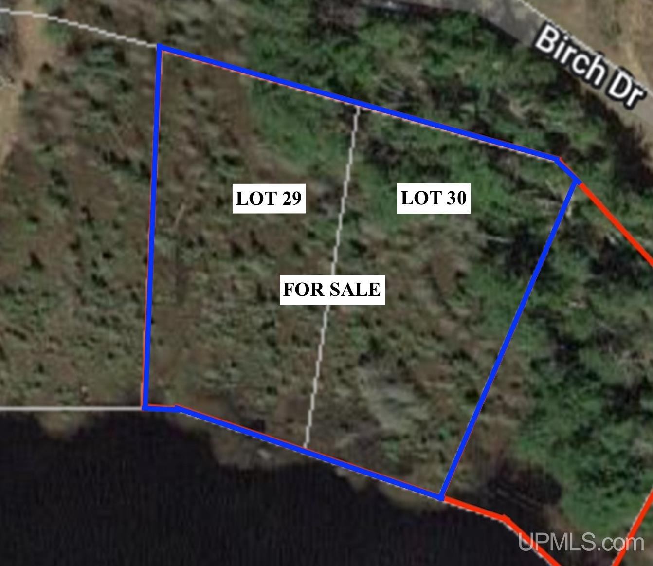 22004 S Olson Lk  