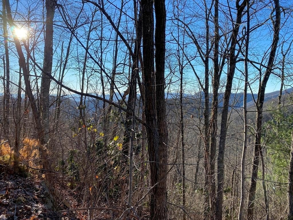 Other - Hickory Nut Trail lot: 63, Sylva, NC