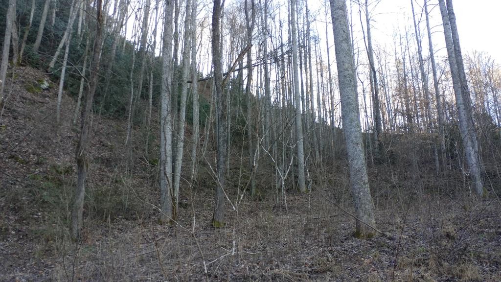 Other - Red Hawk Bluff lot: 16, Dillsboro, NC