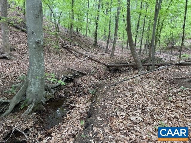 Plots and Land - 3220 SPOTSWOOD TRL, BARBOURSVILLE, VA