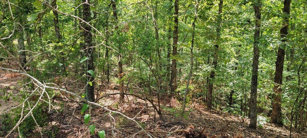 Lot 6 Chinkapin Rd  