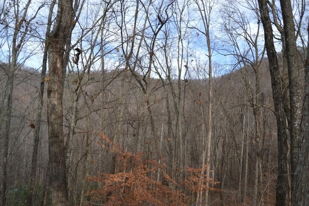 Other - 334 High Ridge Rd. lot: 334, Franklin, NC