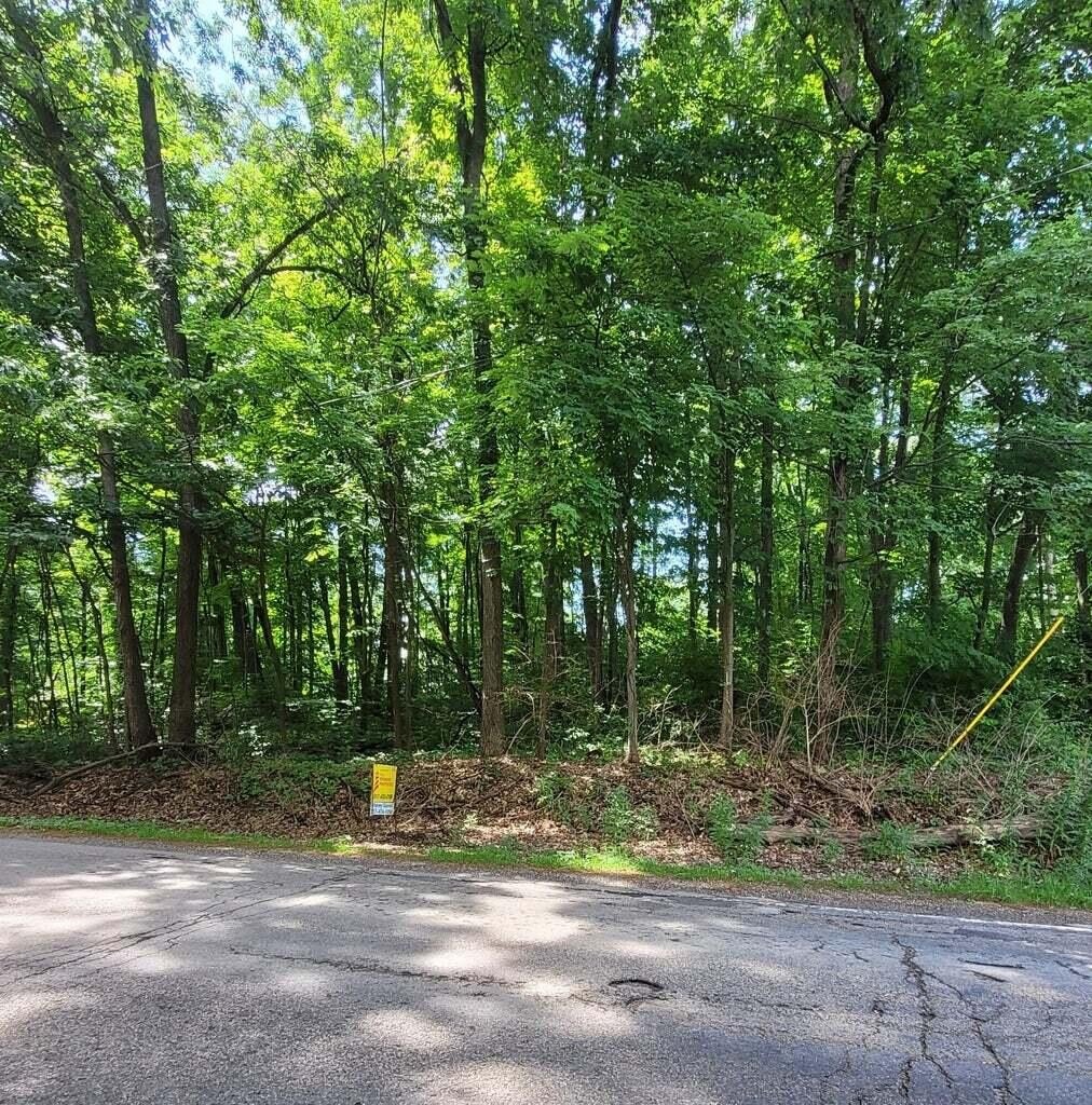 Single Family - 11839 Vicary Road, Jerome, MI
