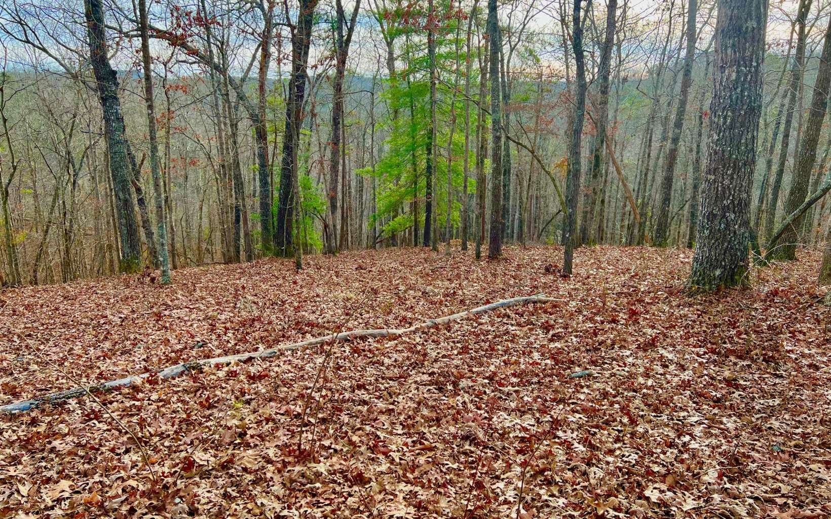 Other - Lt209 Harris Ridge Drive, Ellijay, GA