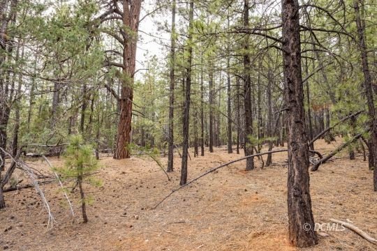 Other - 3220 E Piute Dr, Duck Creek Village, UT