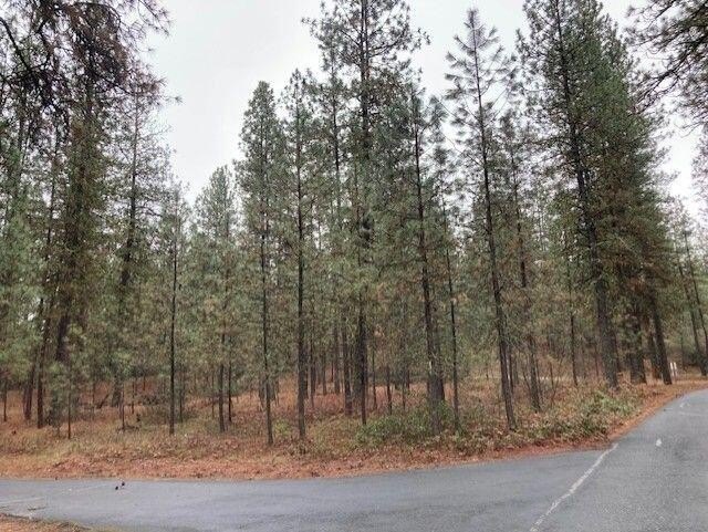 Other - 10XX HARBERD WAY, KETTLE FALLS, WA