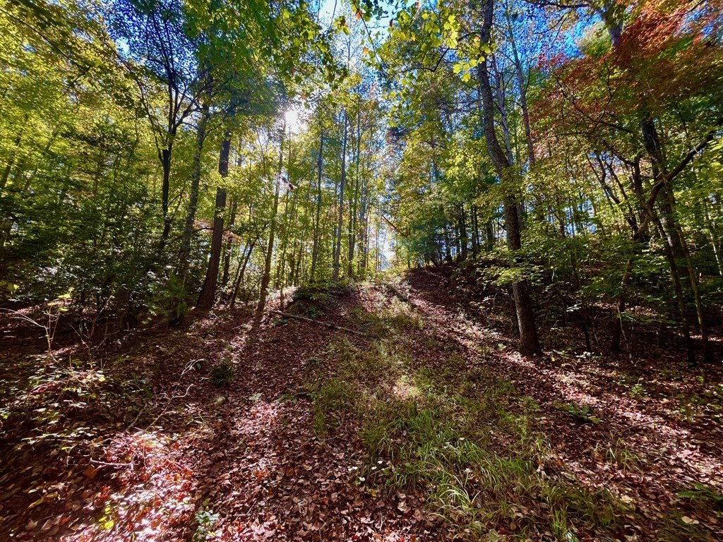 Other - 59 High River Landing, Ellijay, GA