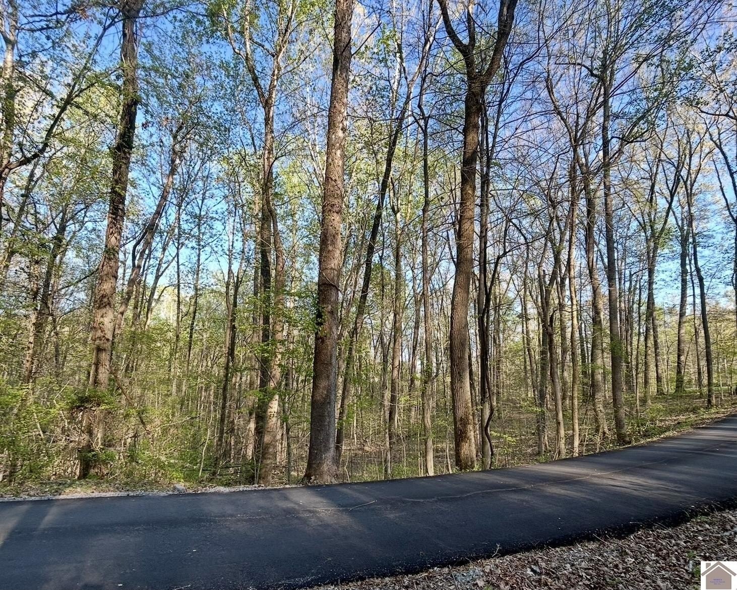 Other - Commerce Landing Rd. lot: 14E, Eddyville, KY