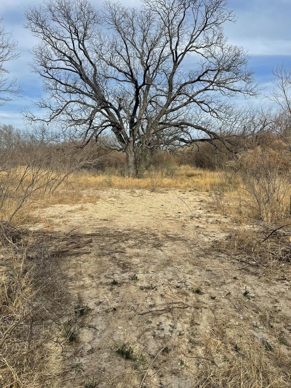 Single Family - 798 Guyler, Del Rio, TX