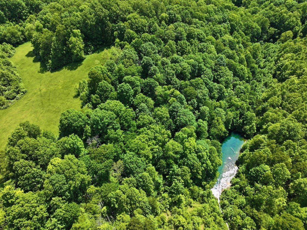 Plots and Land - 1665 Tiptop Rd, North Tazewell, VA