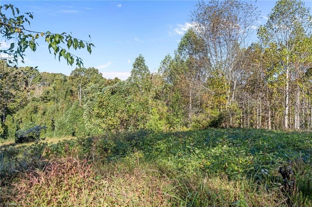 Single Family - 4.45acres Gib Ferguson Road, King, NC