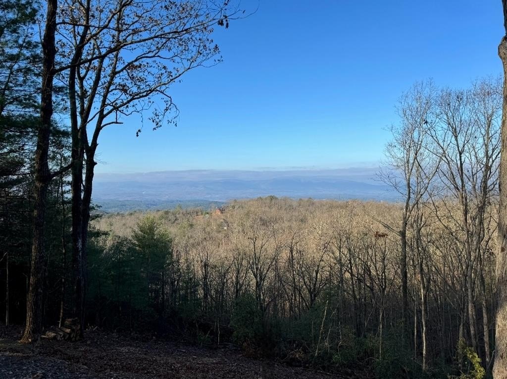 Other - 93 Wilderness Creek Way, Murphy, NC