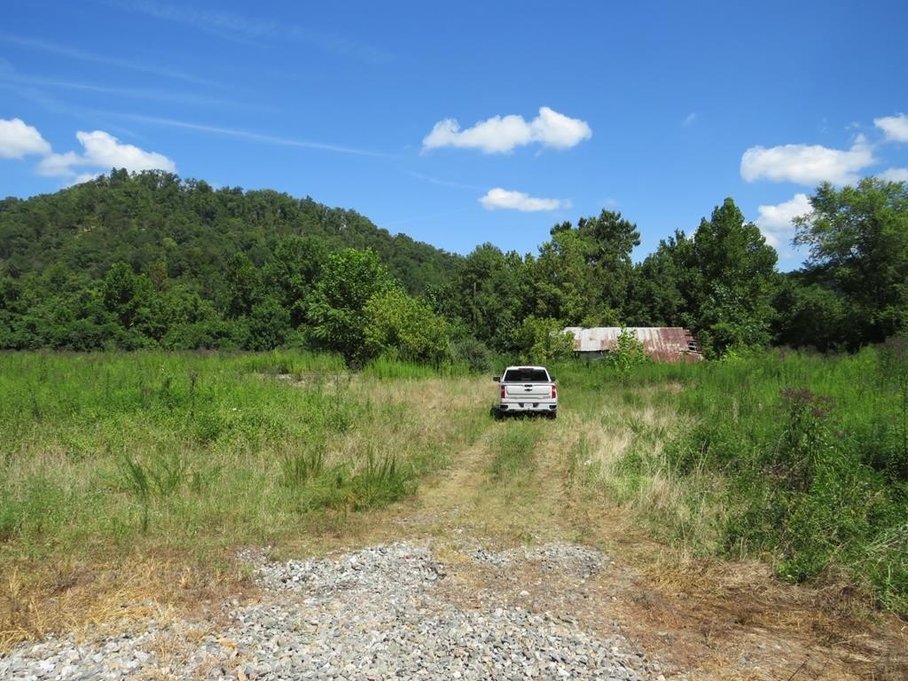 Other - 00 Chestnut Road- Whitehouse, Paintsville, KY