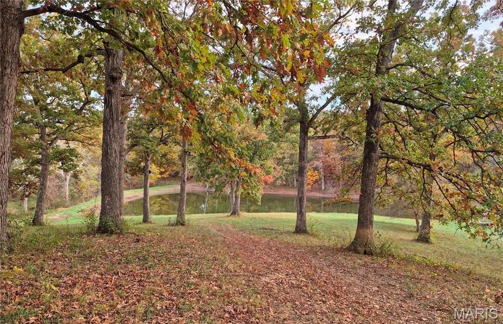 Plots and Land - 0 Highway D (15+/- Acres) Tract 11, Eolia, MO