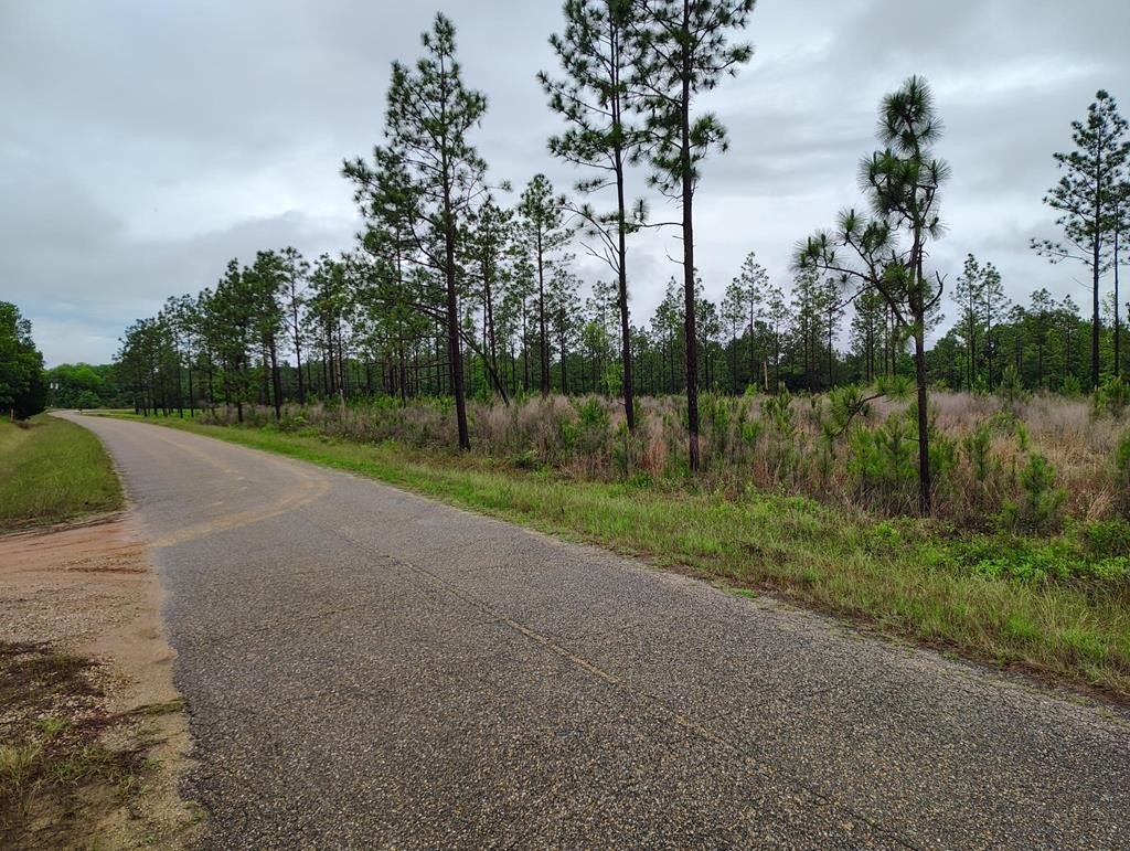 Single Family - 0000 Liberty Rd, Pansey, AL