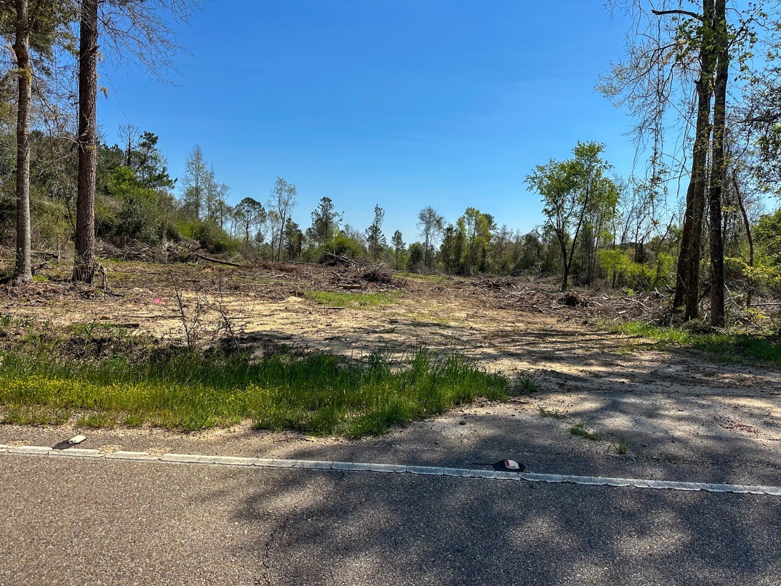 Other - hwy 438, Mt Hermon, LA