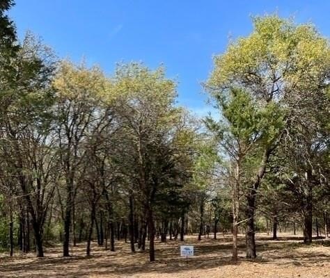 Plots and Land - 057 Blackjack Parkway, Nocona, TX