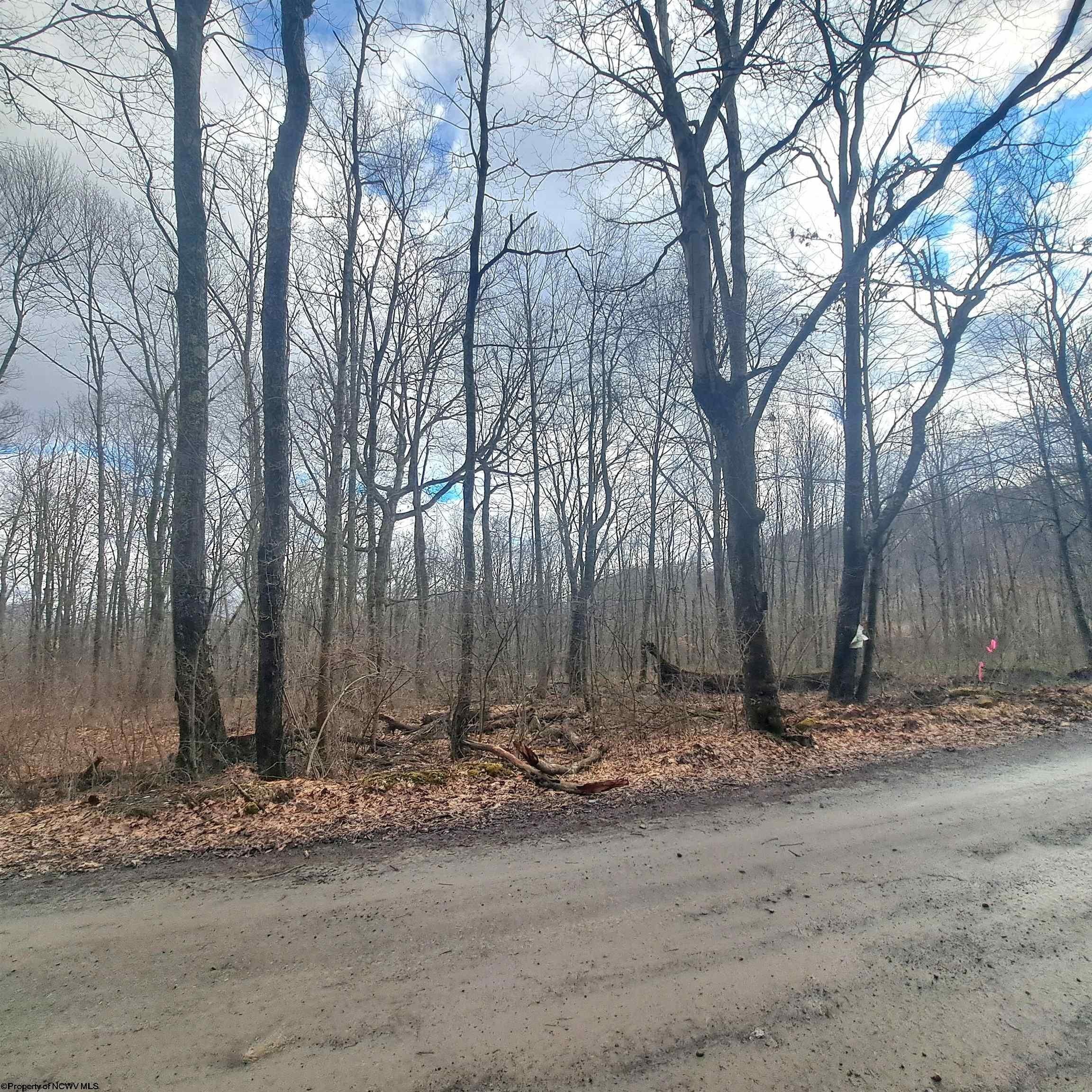 Other - TBD Glade Run Road, Albright, WV