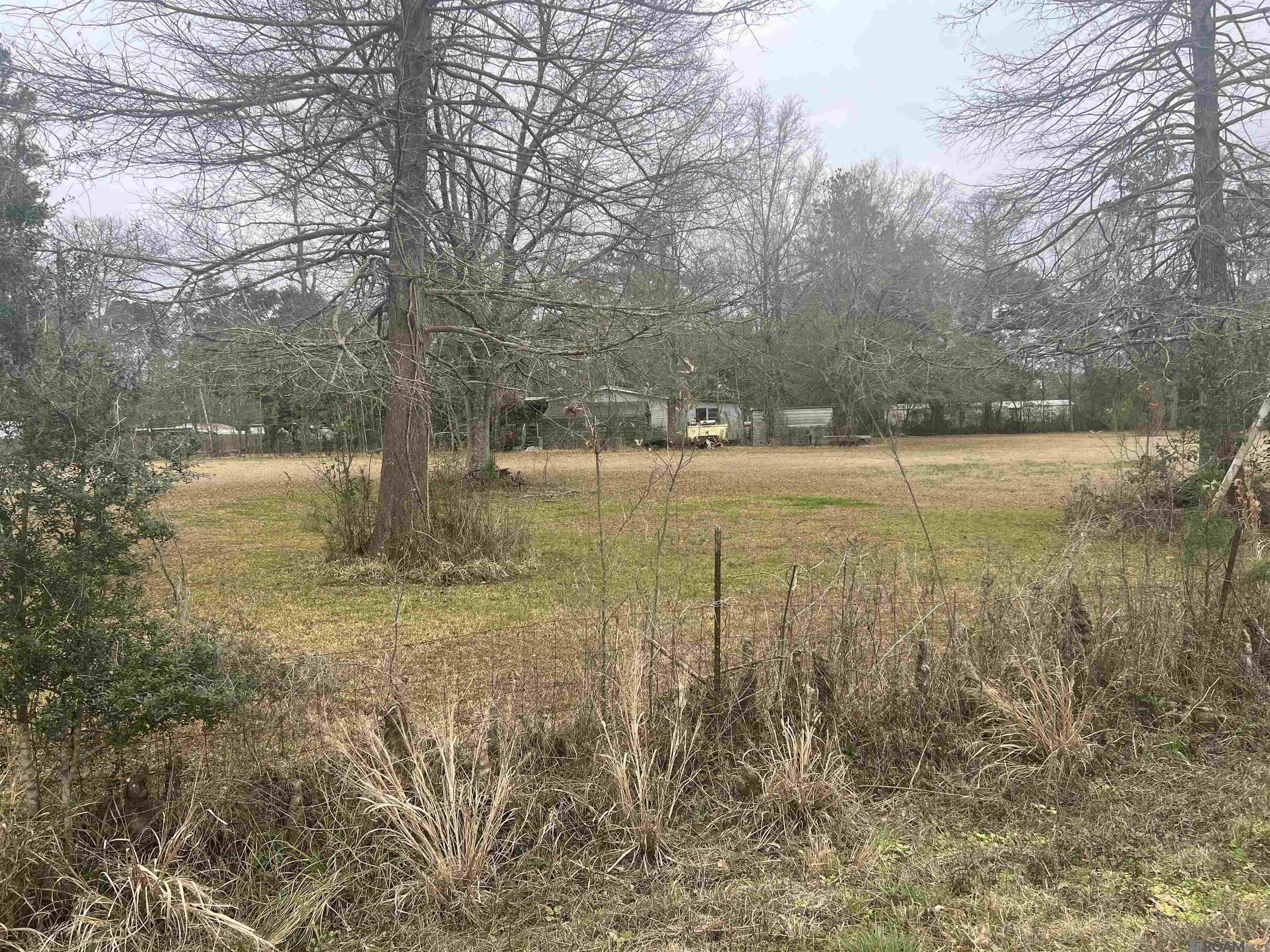 Plots and Land - Tbd10 Pat's Lane, Springfield, LA
