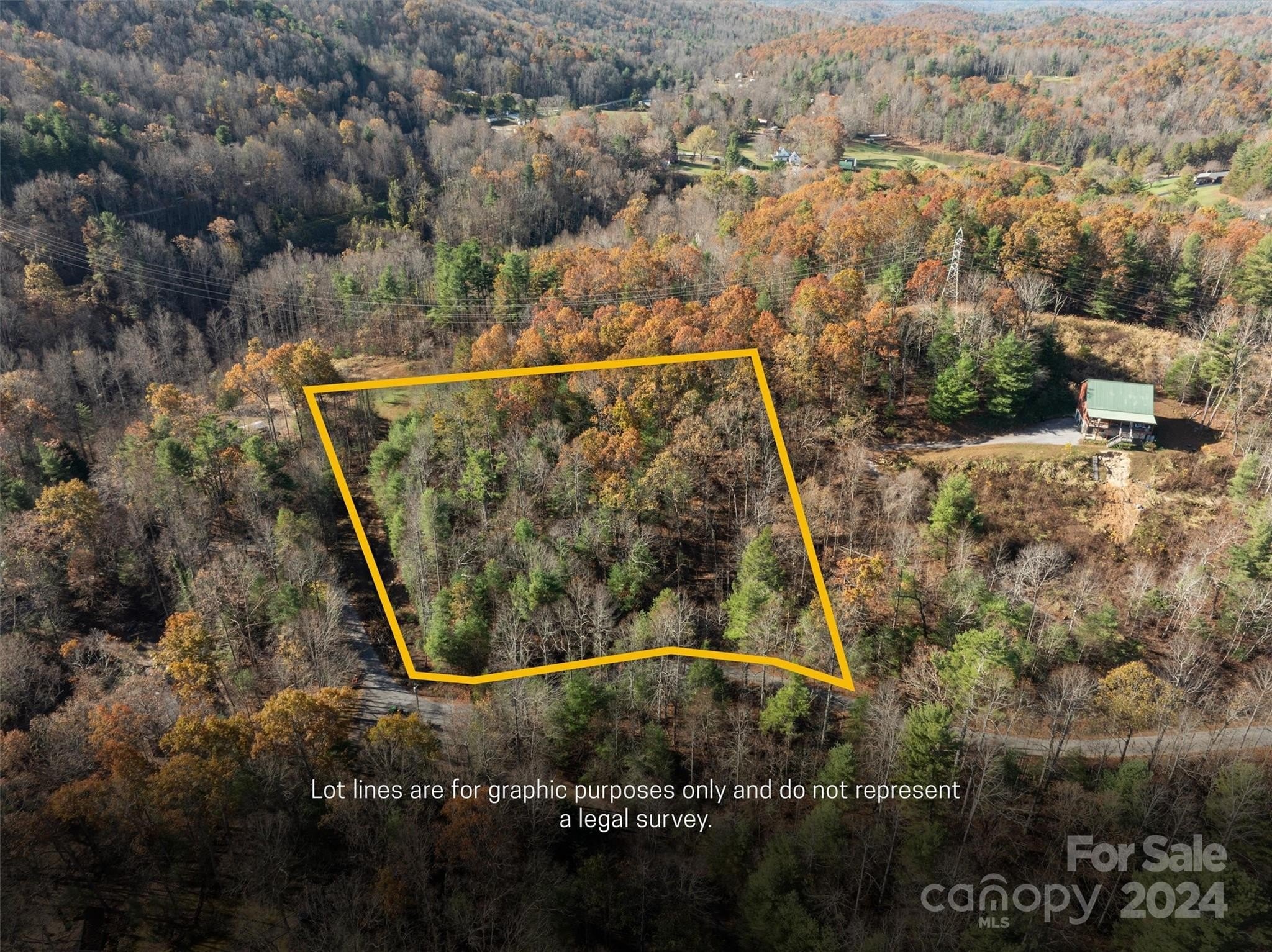 Other - 99999 Big Raven Lane, Saluda, NC