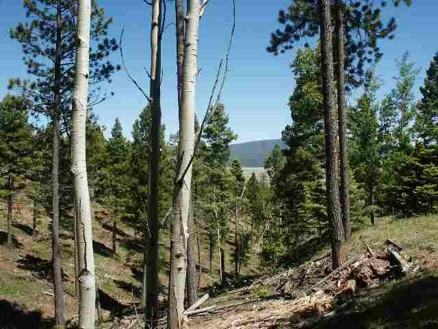 Other - Pam Coleman Drive lot: 91Ab, Angel Fire, NM