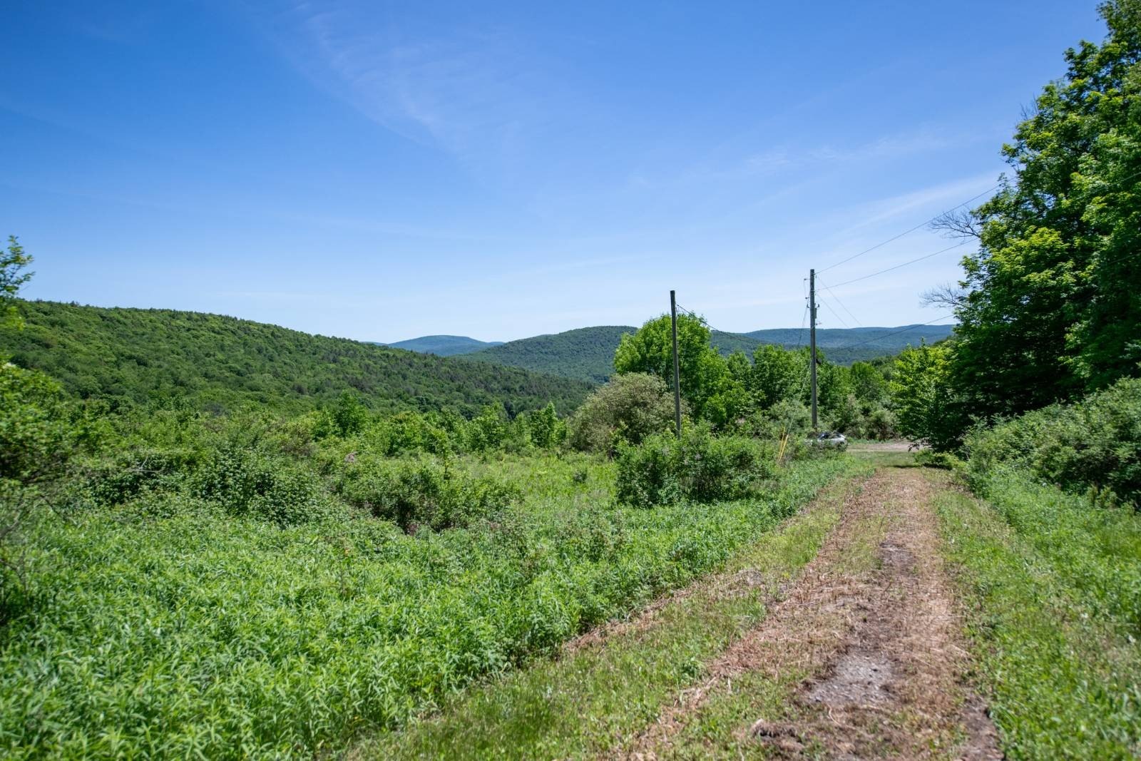 Other - 1718 Doe Brook Rd, Hamden, NY