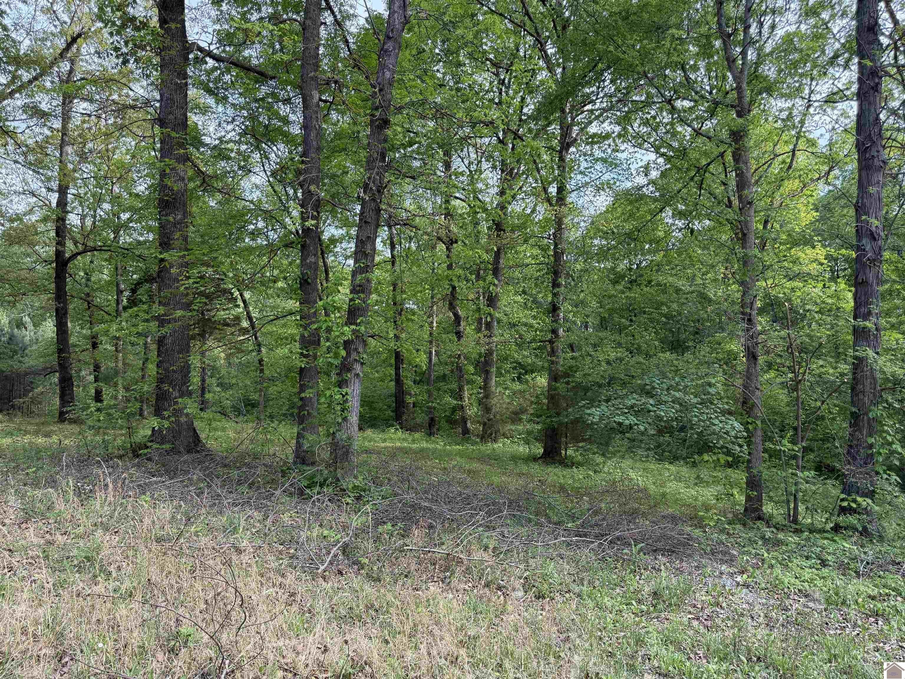Other - 0000 New Hope Rd, Calvert City, KY