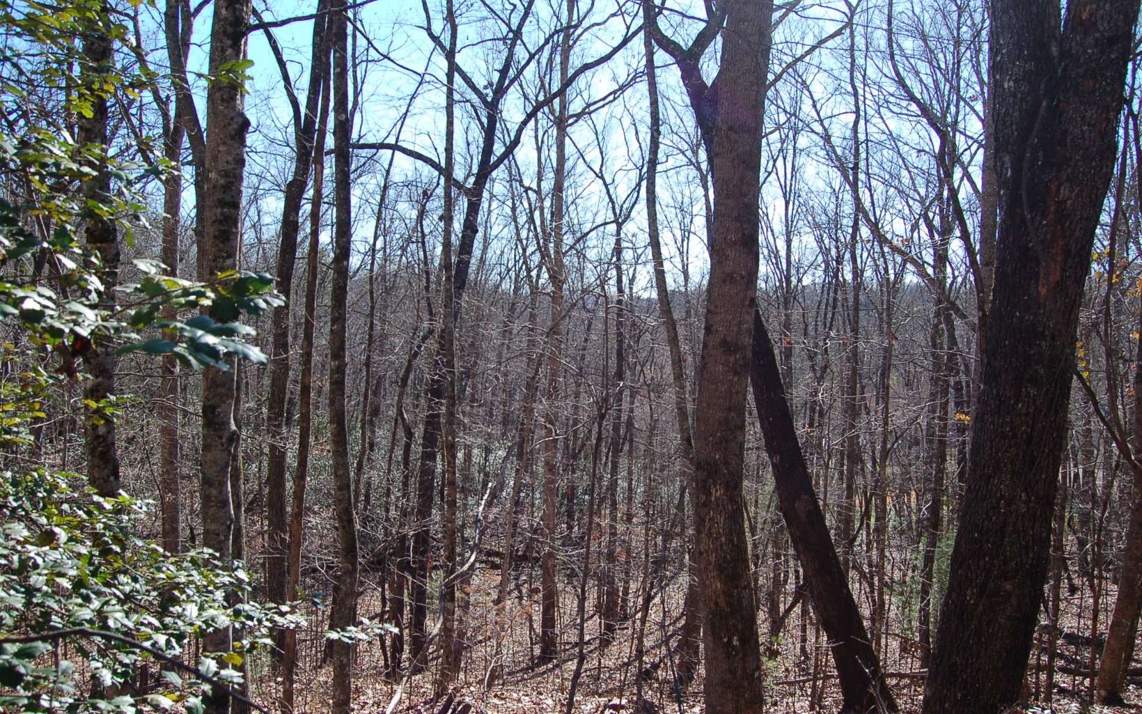Other - Timberline Lane, Hayesville, NC