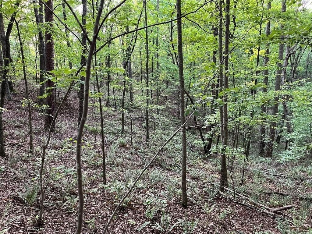 Other - 1720 Rebekah Ridge Road, Talking Rock, GA