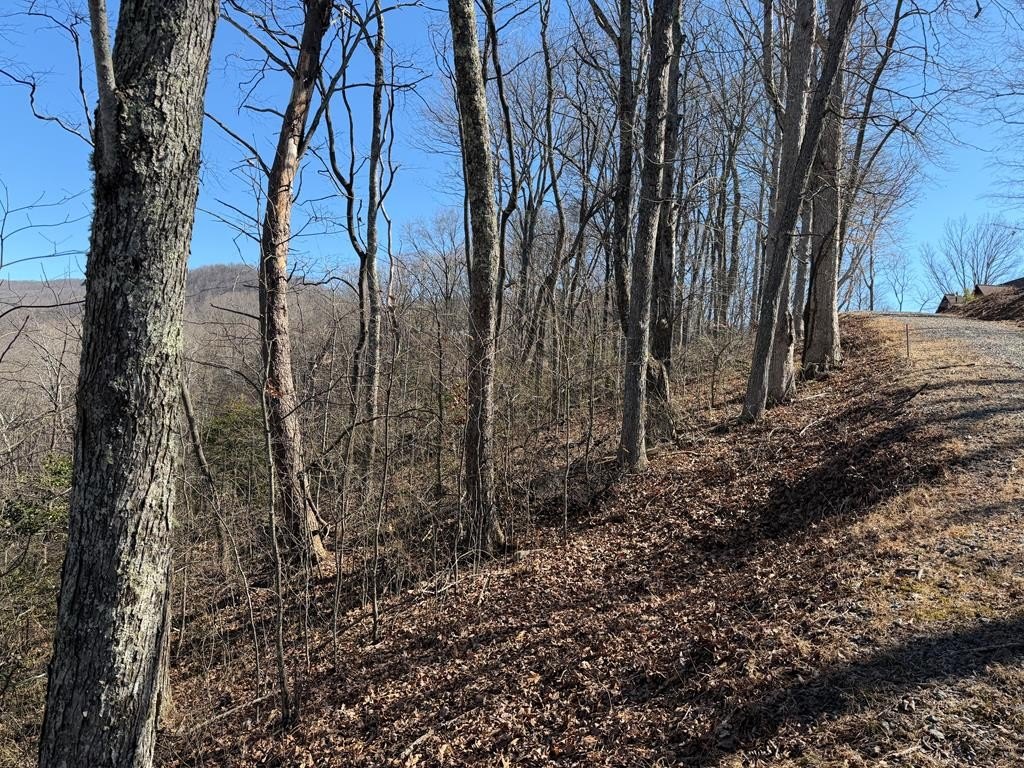 Other - Lot 54 Majestic View Circle, Murphy, NC