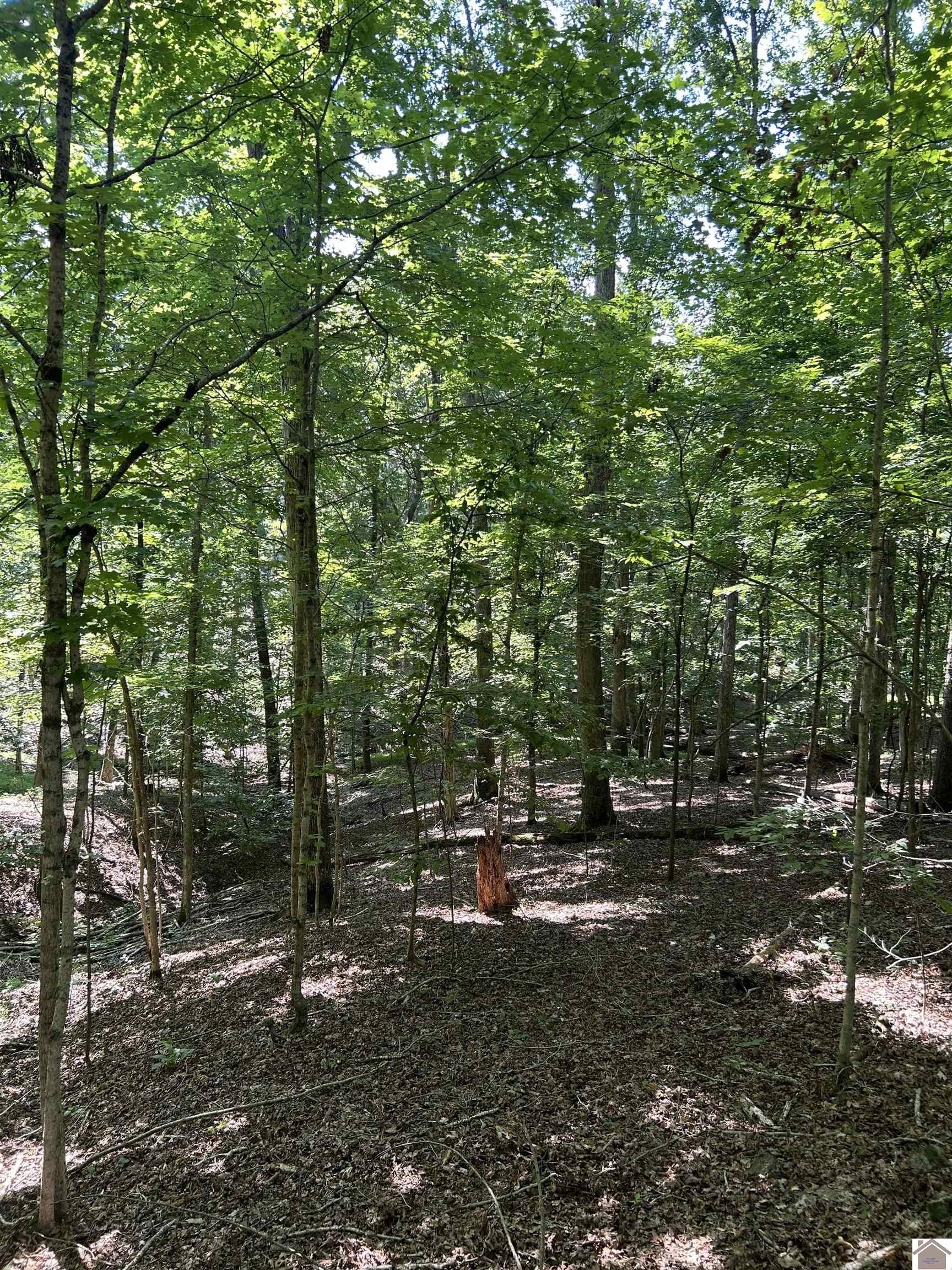 Other - Bluegrass Est 6 Canton Blue Springs Road lot: 5, 6, And 7, Cadiz, KY