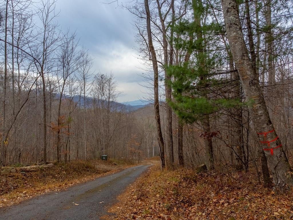Other - River Road Trace lot: 4, Franklin, NC