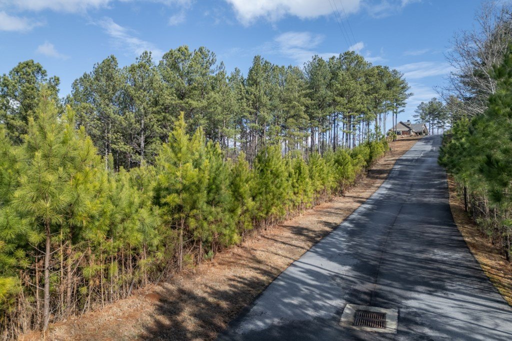 Other - Lot 74 Thirteen Hundred, Blairsville, GA