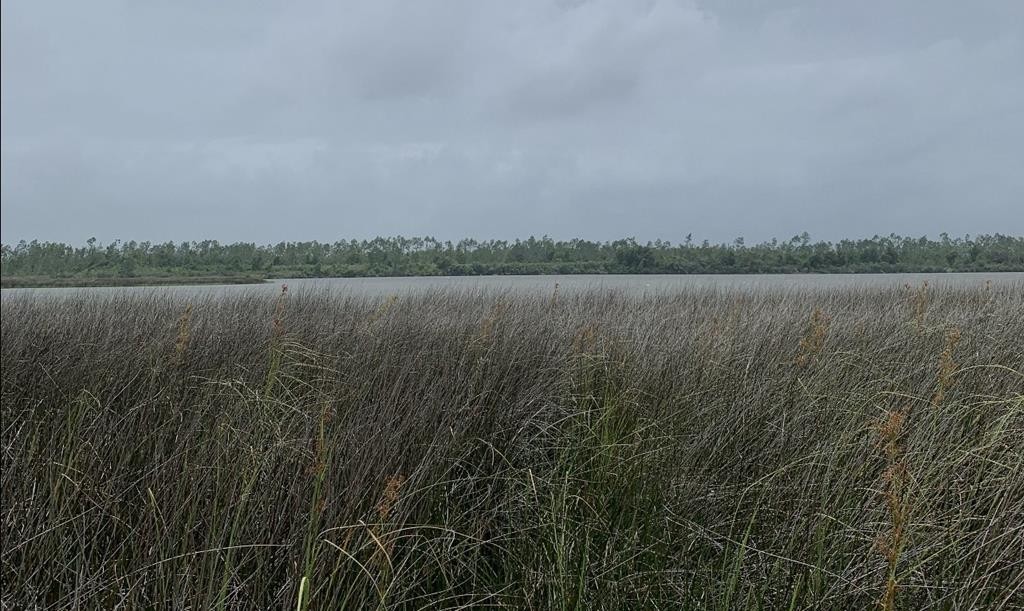 Other - E Bay Dr lot: 13, Wewahitchka, FL