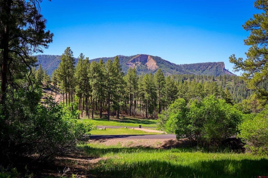 Other - 379 Ironwood Drive, Pagosa Springs, CO