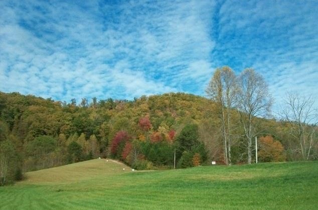 Other - 850 Bluff Road, MARBLE, NC