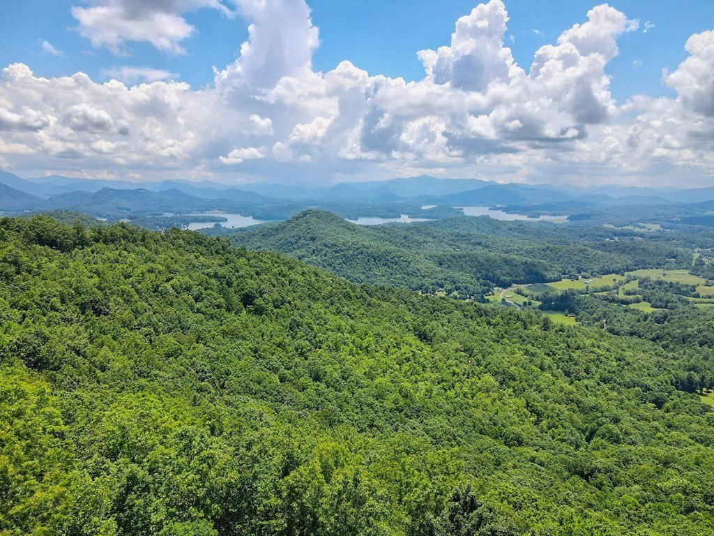 Single Family 3BR 4BA - 1212 Double Knob Drive E, Hayesville, NC