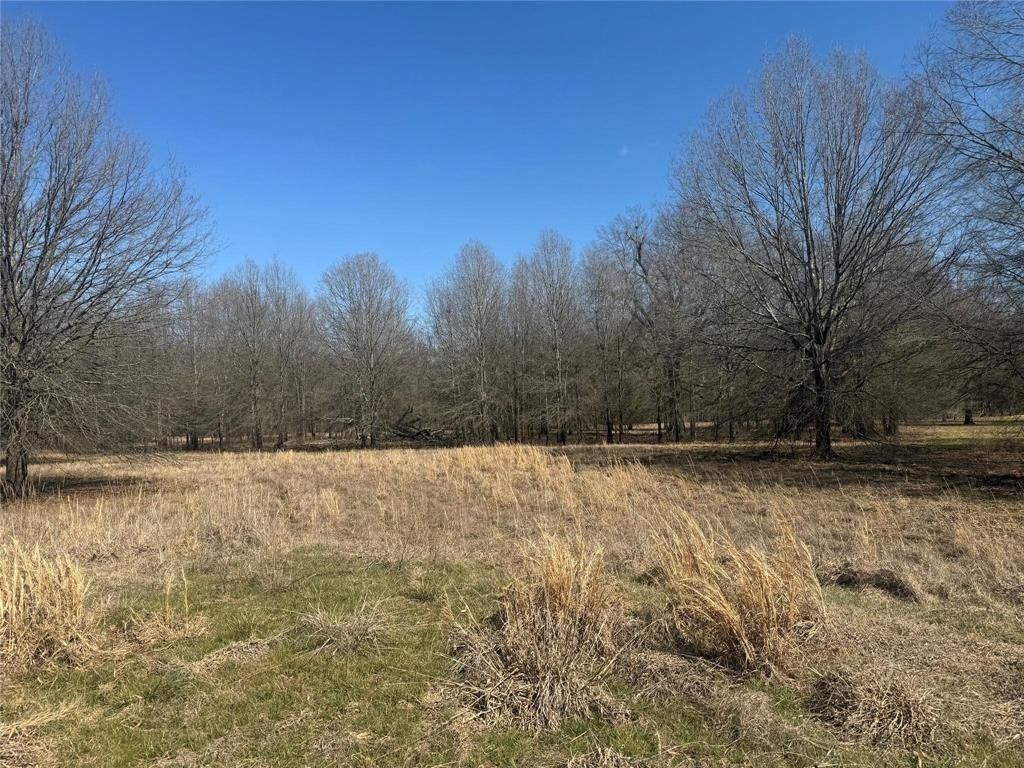 Other - Tbd PR 44005, Blossom, TX