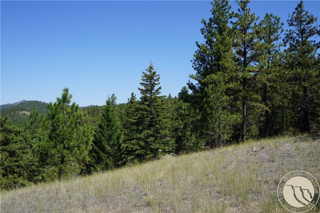 Other - Tbd Ridge Crest Lane, Other, MT