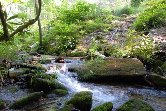 Other - Flint Ridge Rd lot: 4, Bryson City, NC