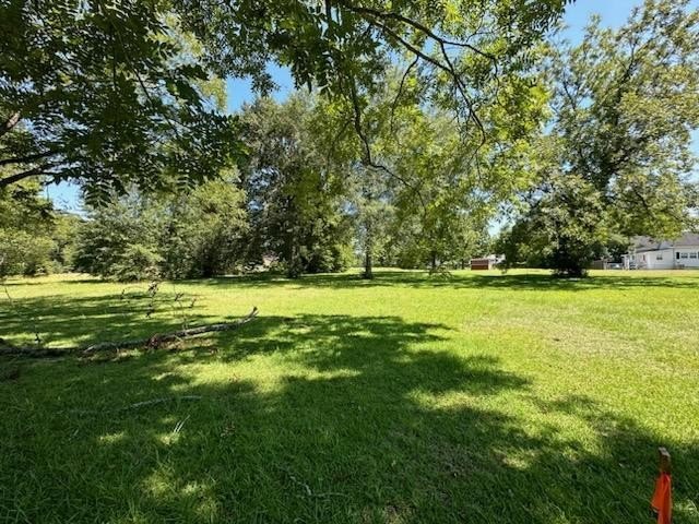 Single Family - Parcel F Brookline St, Midland City, AL