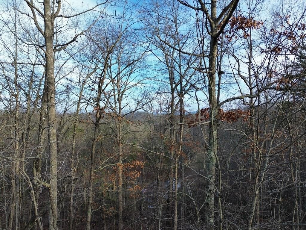 Other - Tract 2 Century Lane, Blue Ridge, GA
